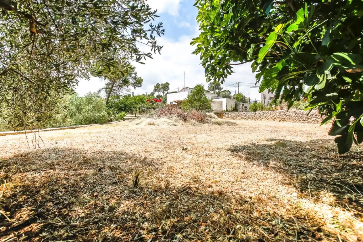 Finca rústica en venta en Avinyonet del Penedès