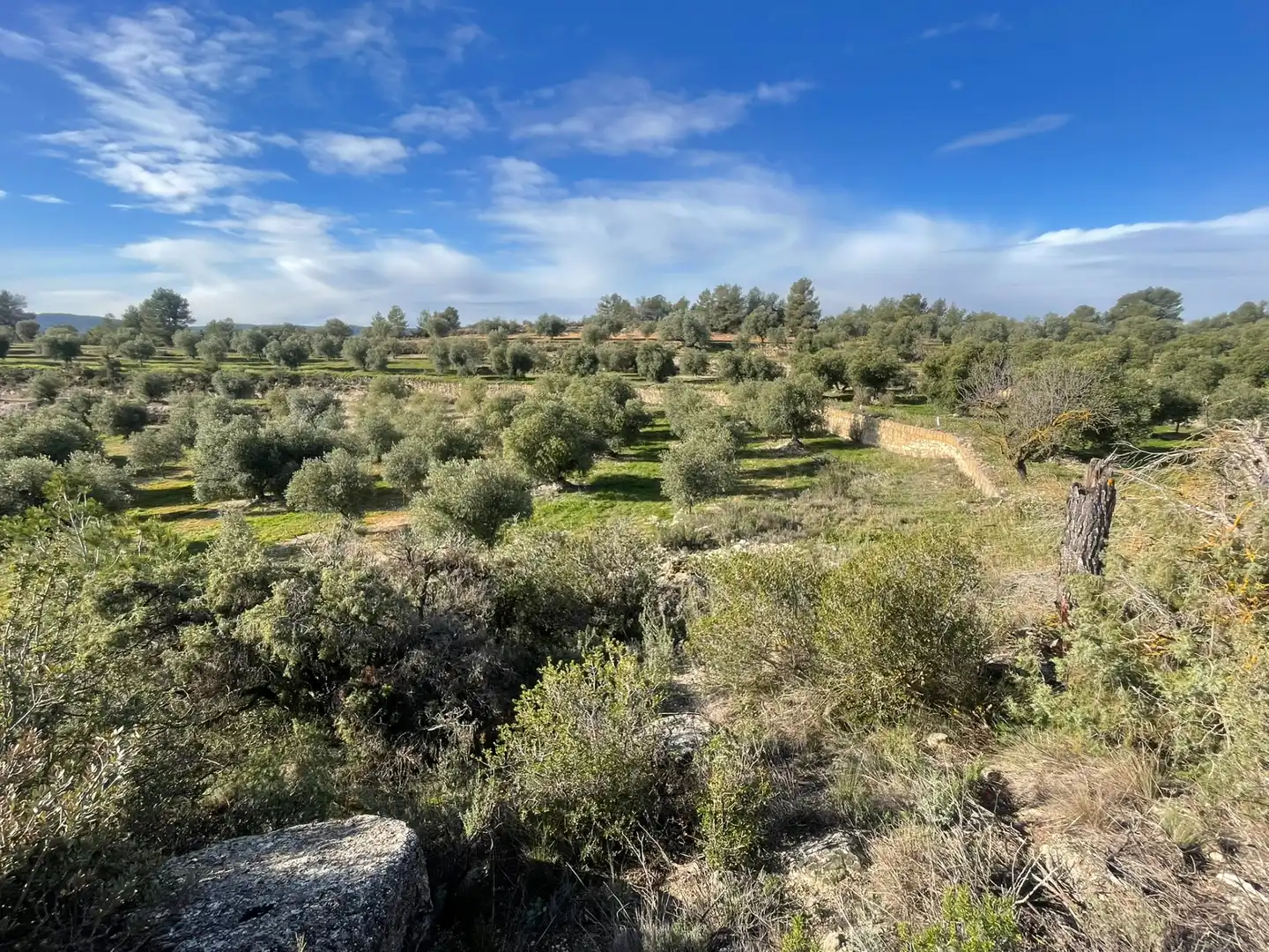 Rural land for sale in Cervià de Les Garrigues, imagen 27