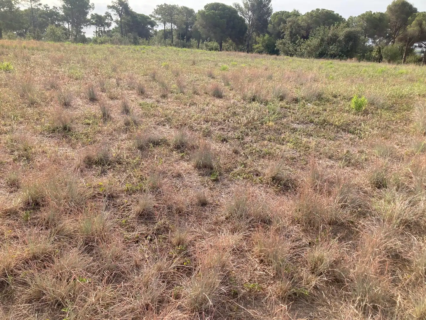 Terreno en venta en Pineda de Mar