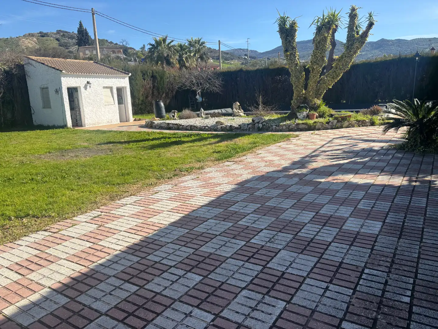 Terreno rustico in vendita a Cabra, imagen 5