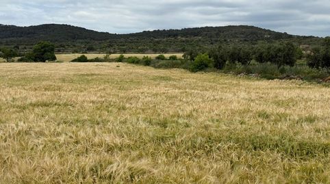 Finca Rúst. en venta en Masllorenç., imatge 3