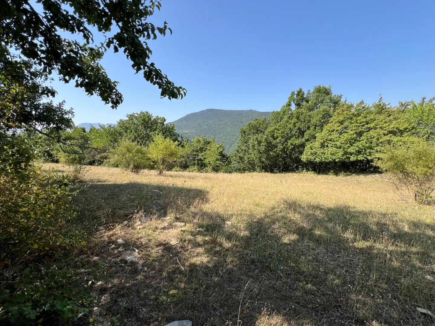 Land for sale in Broto