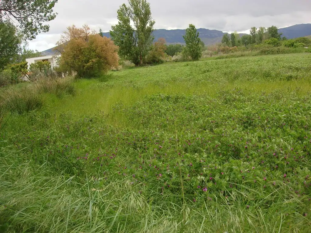 Terreno rústico en venta en Ribafrecha, imagen 4