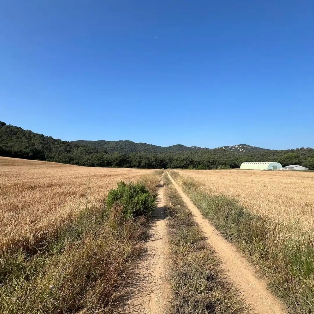Finca rústica en venta en Tossa de Mar con Jardín privado