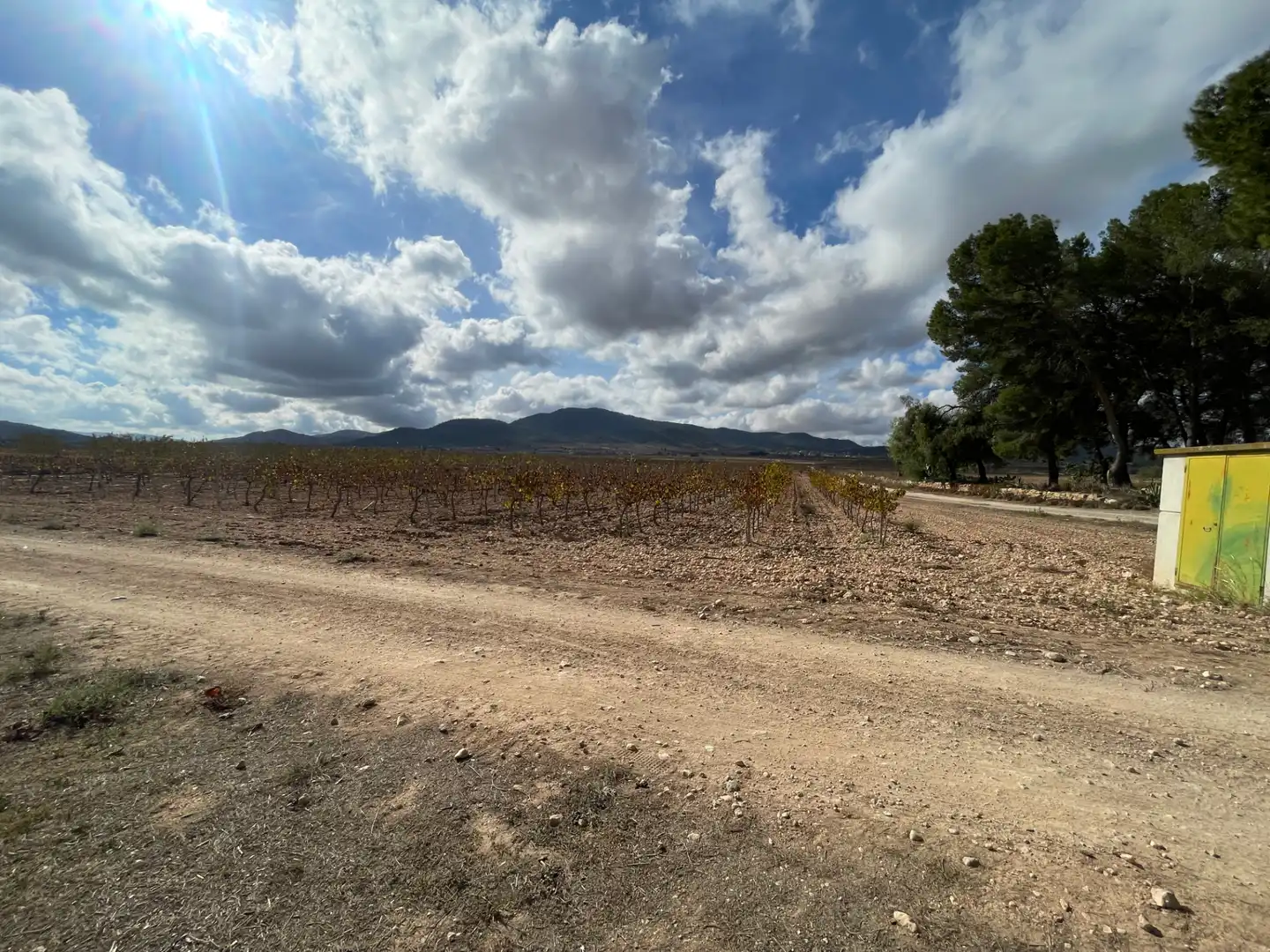 Casa o xalet en venda en Monóvar  / Monòver