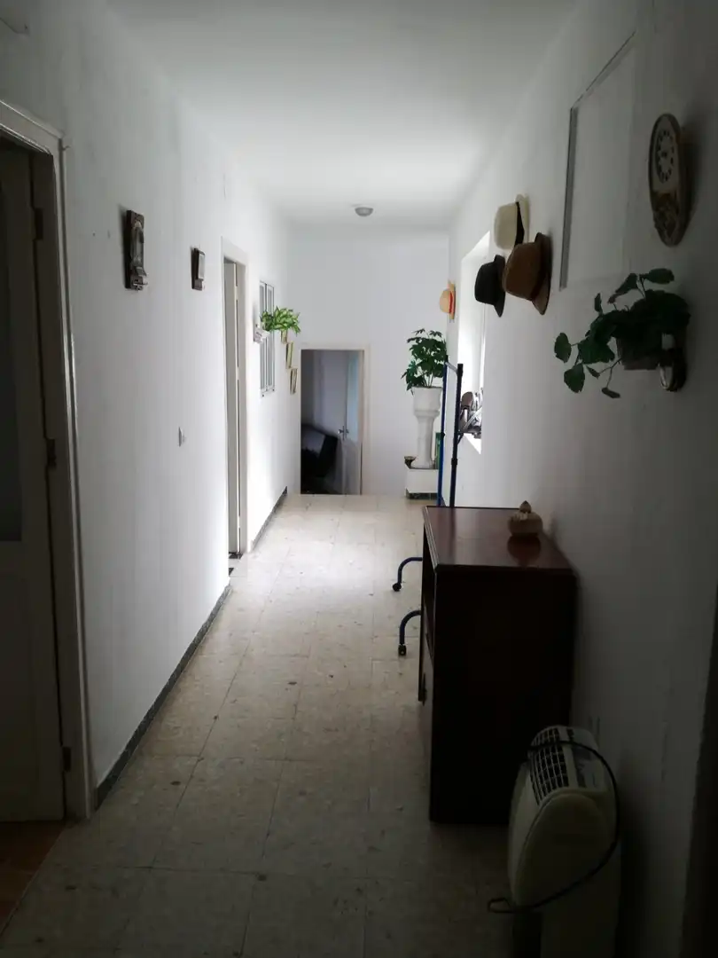 Casa rústica amb terrassa en venda a Vejer, imagen 54
