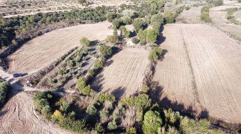 Magnífica finca rústica amb cabana de volta, immagine 2
