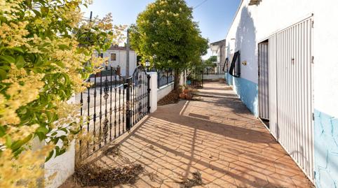 Foto 3 de Finca rústica en venda a Cortes de Baza, Granada