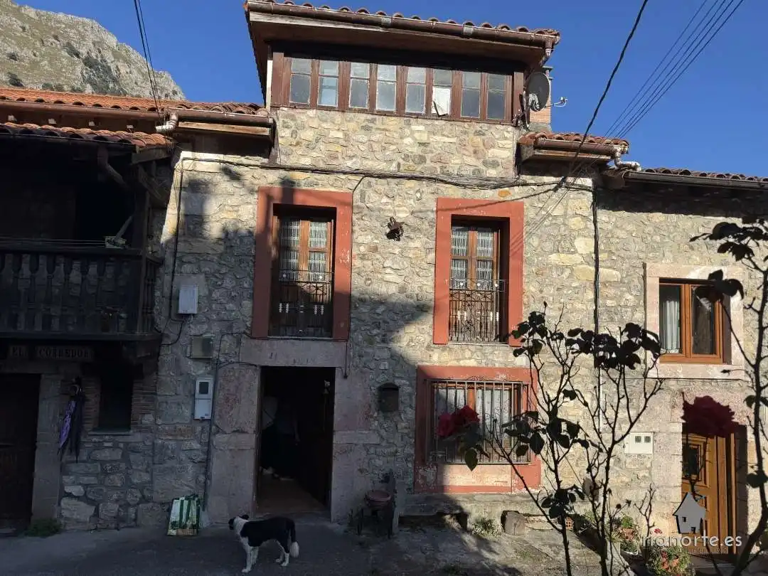 Exterior view of Houses for sale in Peñamellera Alta  with Heating