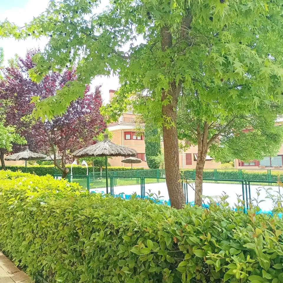 Piscina de Pis de lloguer en Las Rozas de Madrid amb Aire condicionat, Calefacció i Terrassa