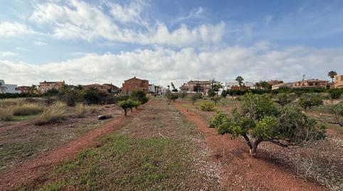Photo 4 of Land for sale in Polígono 27, 129, El Puig, Valencia