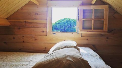 Photo 4 of Country homes for sale in Camino Caballo Arabe, Las Lagunas - Campano, Chiclana de la Frontera