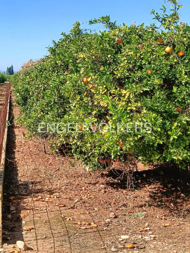 Lands and plots for sale in Els Poblets, imagen 10