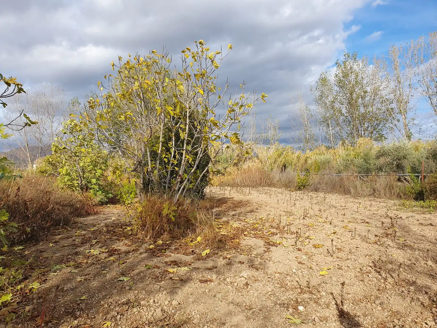 Rural land for sale in Maracena, imagen 9