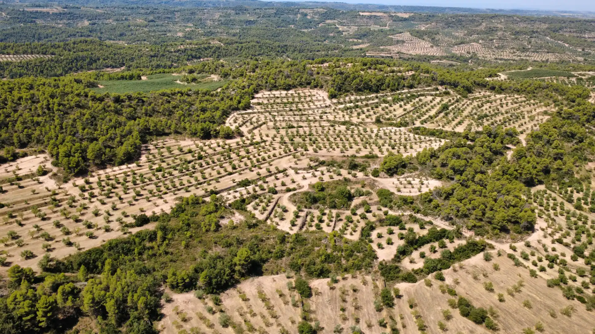 Terreno en venta en Cervià de Les Garrigues