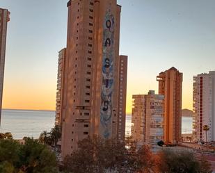 Vista exterior de Estudi en venda en Benidorm amb Moblat, Forn i Rentadora