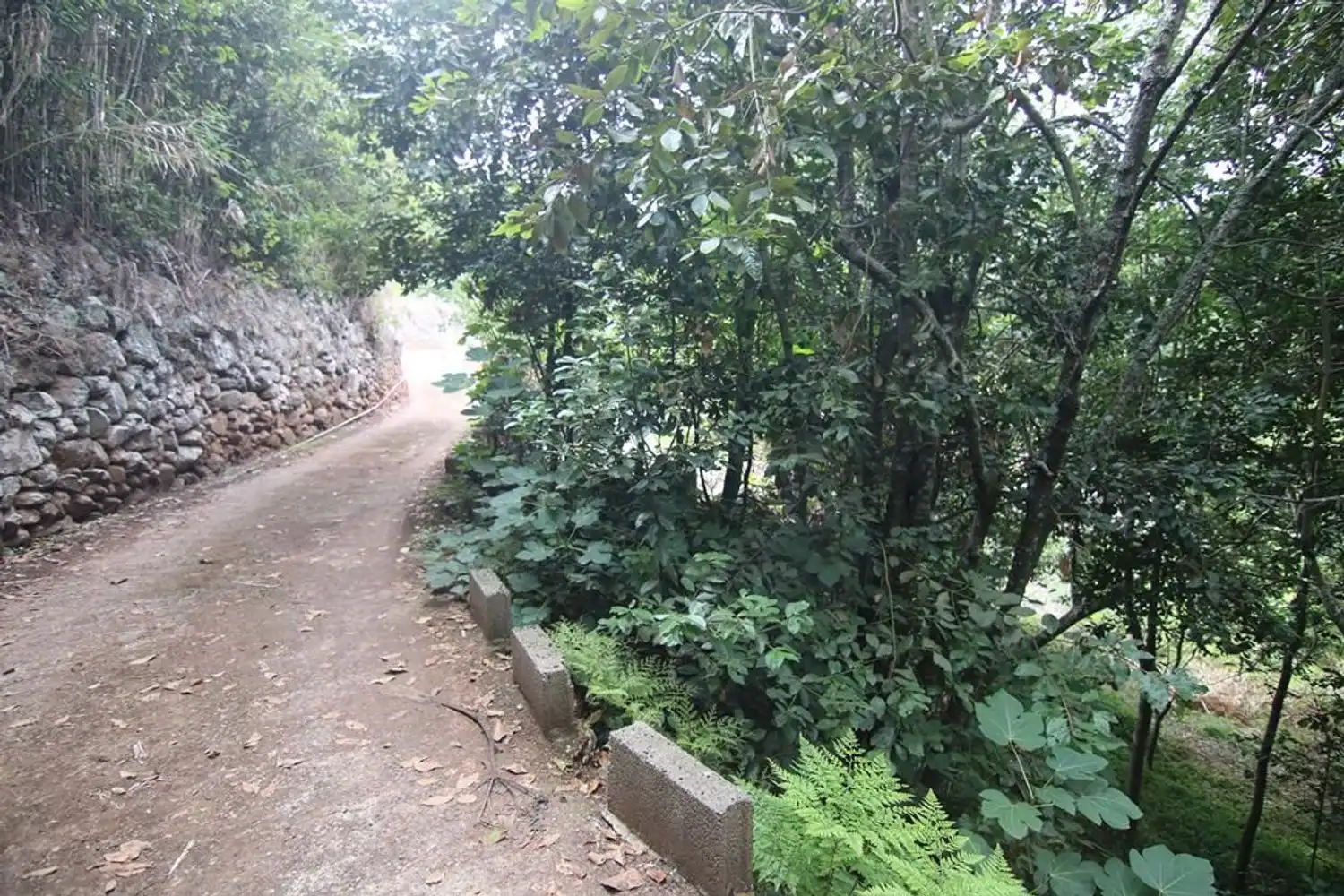 Vista exterior de Terreno en venta en Valleseco