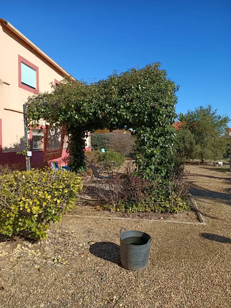 Chalet con piscina en venta en Villanueva de la Serena, imagen 9