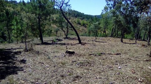 Foto 4 von Grundstücke zum Verkauf in Finca el Pozuelo, 1, Valdelarco, Huelva