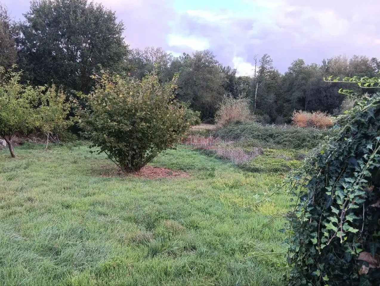 Rustikales Grundstück zum Verkauf in Amoeiro, imagen 6