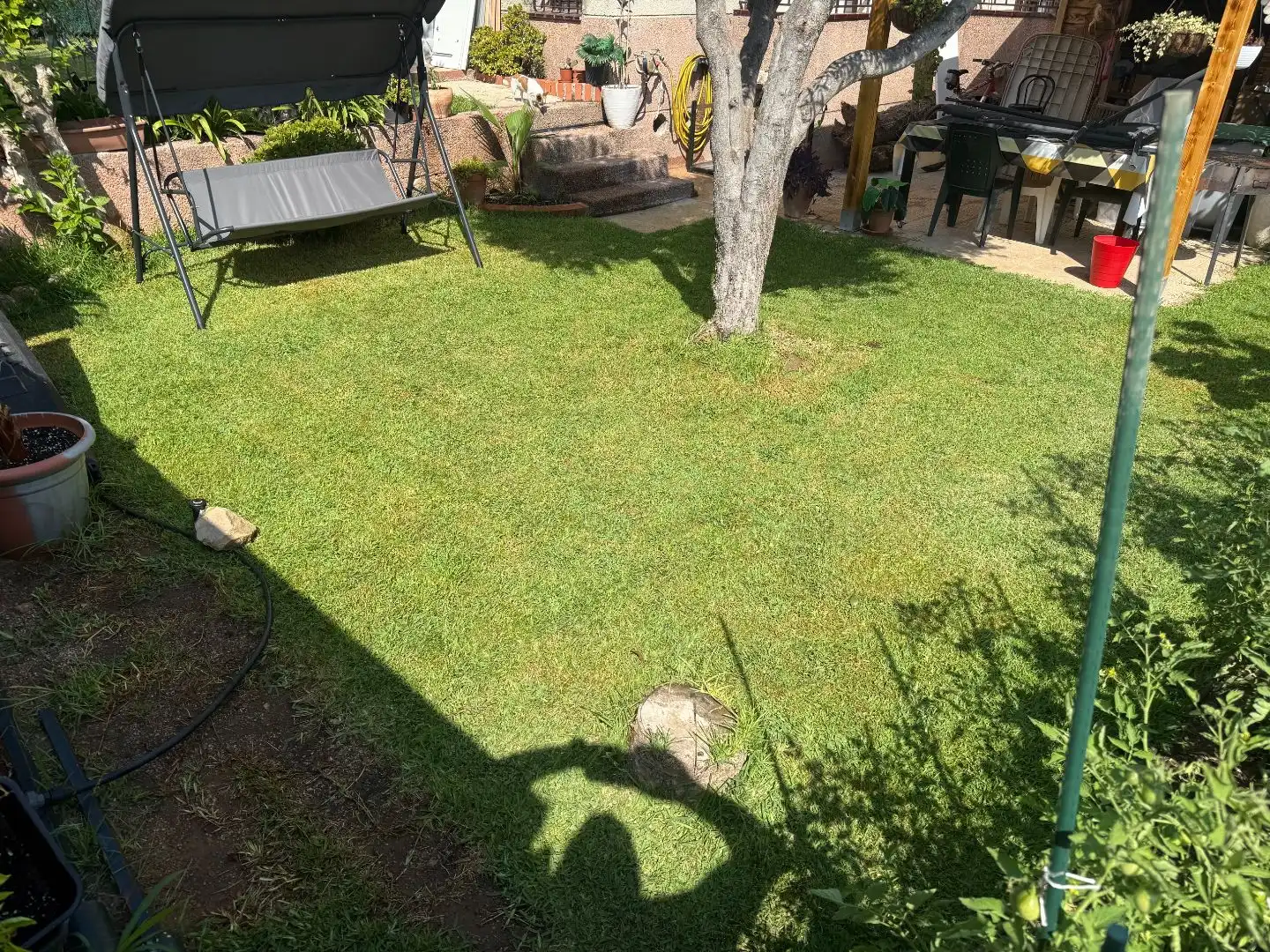 Erdgeschosswohnung mit Garten zum Verkauf in Avinguda Can Nicolau 0, imagen 4