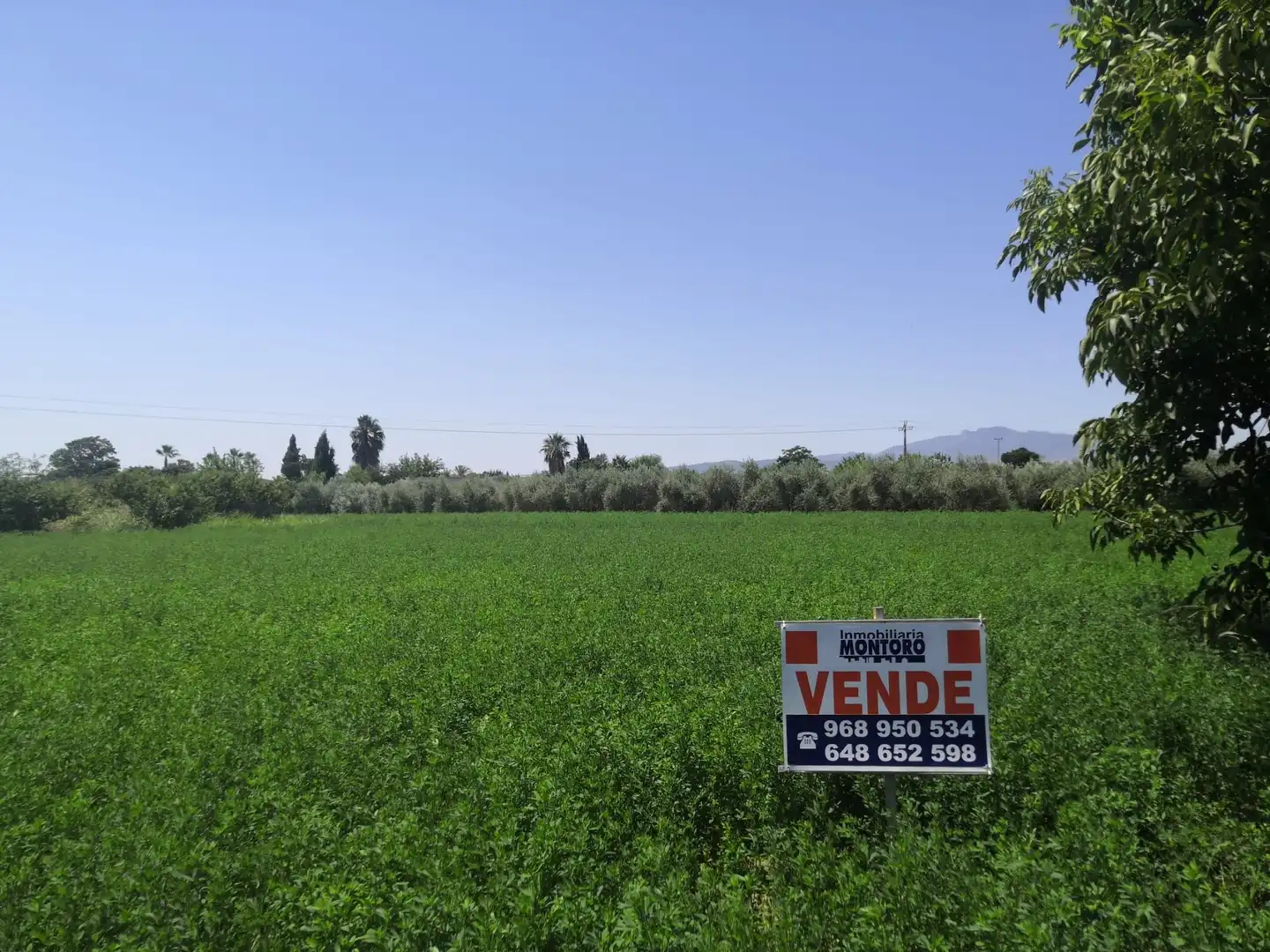 Terreny rústic en venda a Paraje Pullas, las