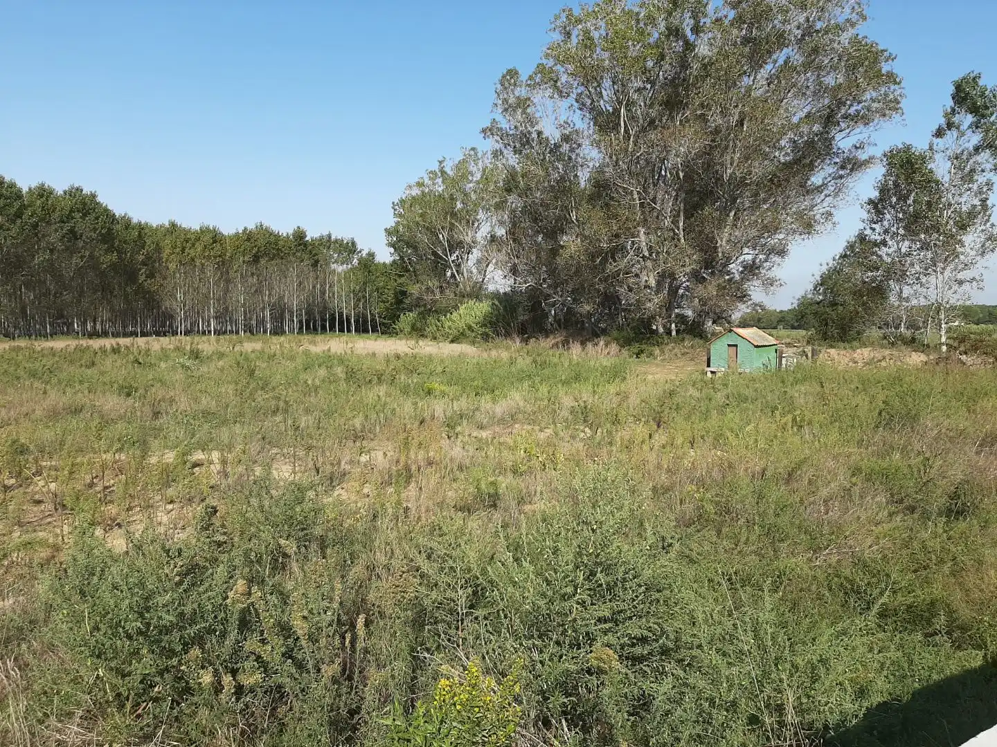 Terreno industrial en venta en Vidreres