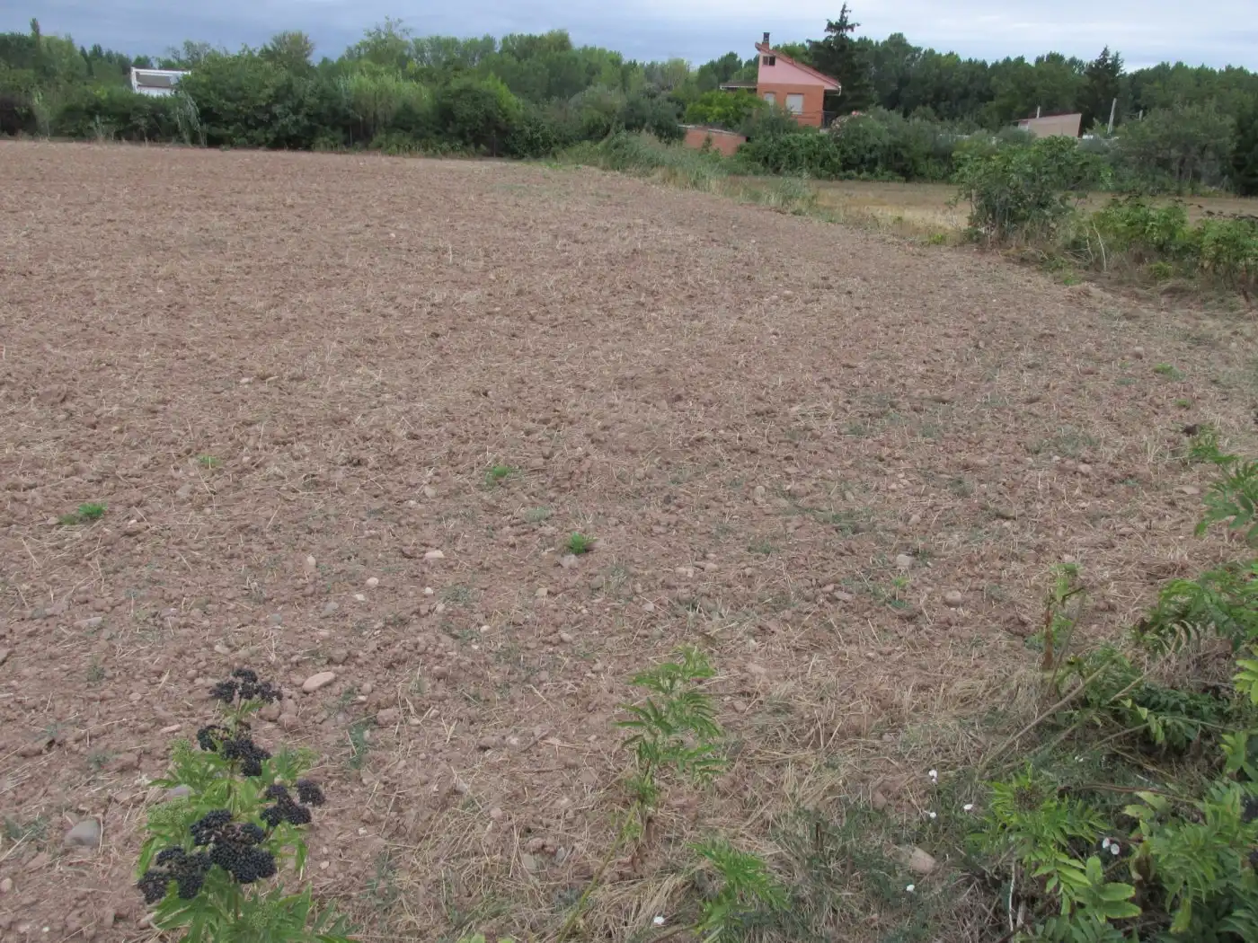 Rural land for sale in Camino Polígono 12, imagen 5