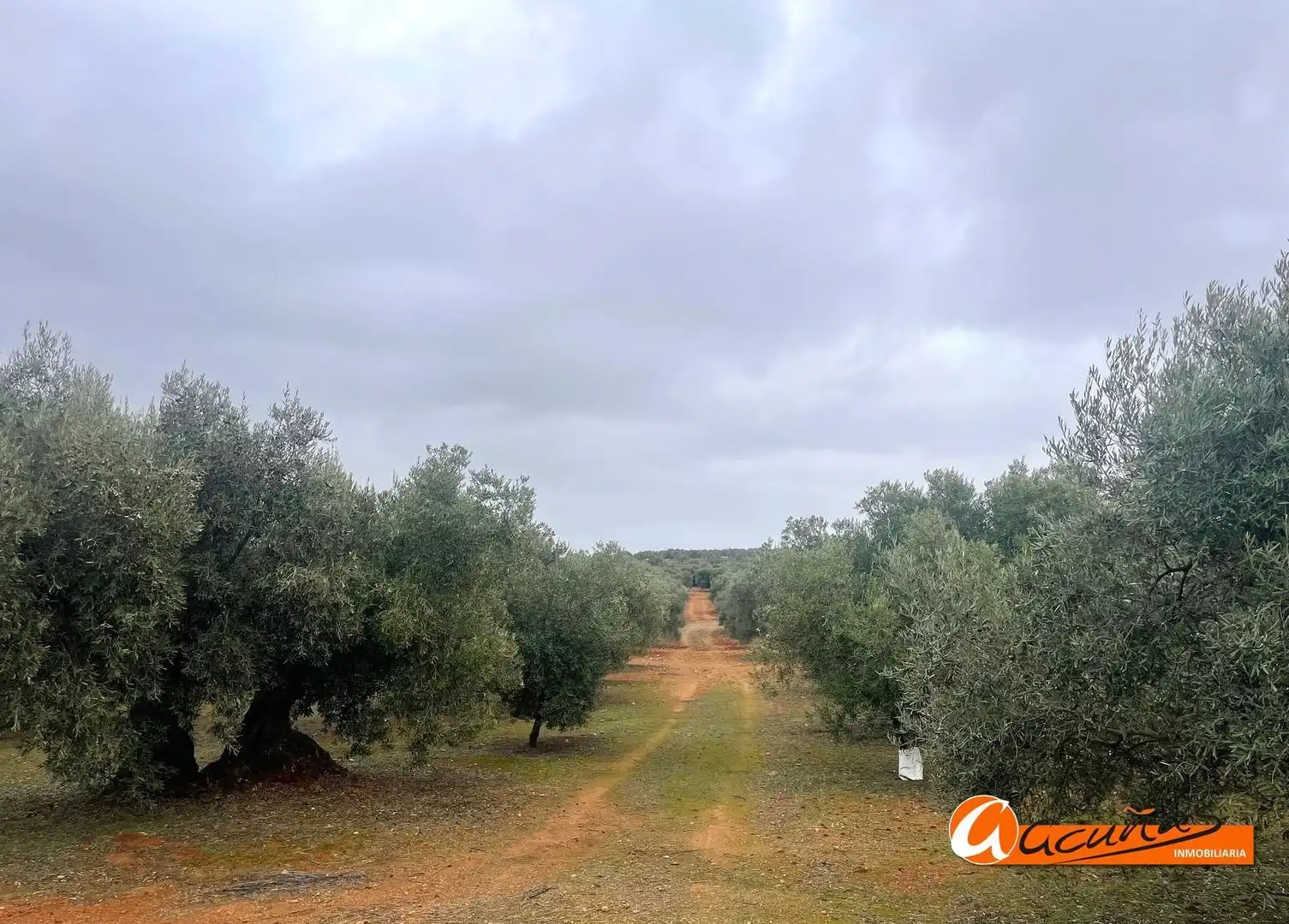 Terrenos y solares en venta en Alameda, imagen 25