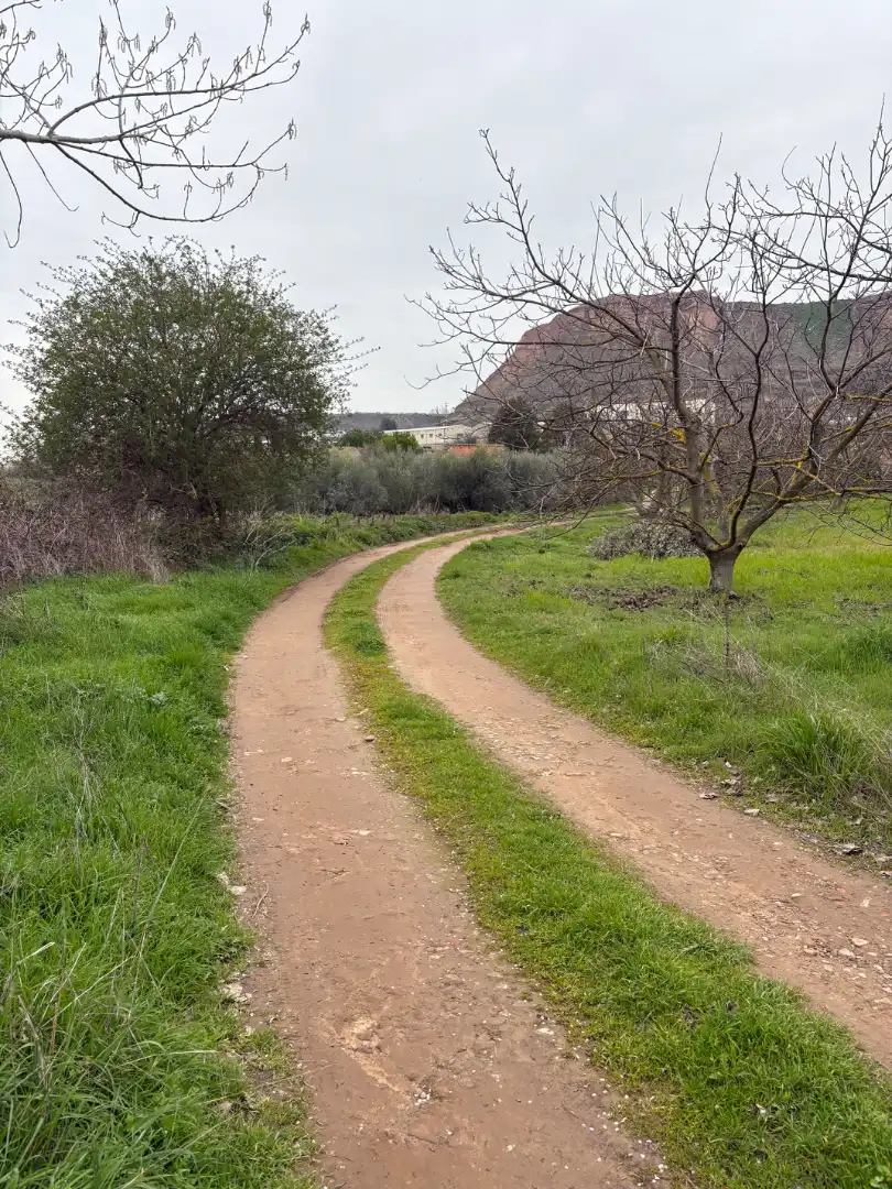 Terreno rústico en venta en Albelda de Iregua, imagen 12