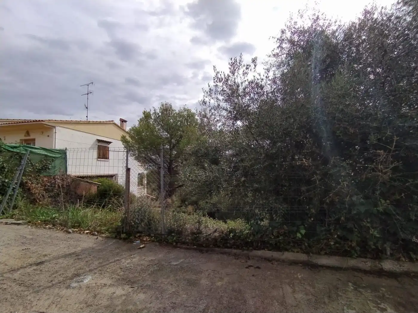 Terreno rustico in vendita a ANTILLES