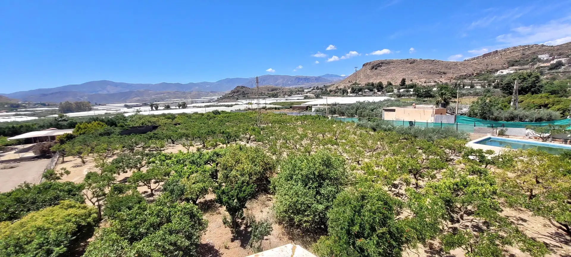 Vista exterior de Finca rústica en venta en Berja con Jardín privado, Terraza y Piscina