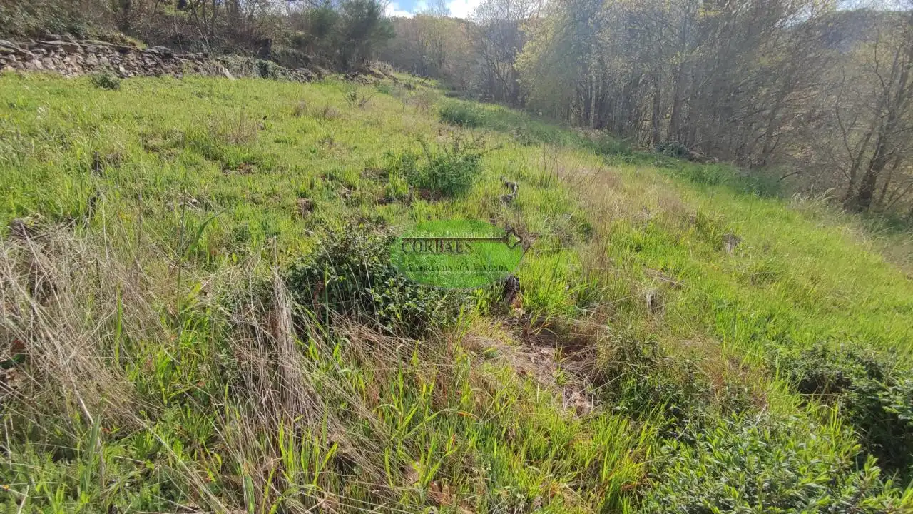 Casa amb jardí en venda a Pantón, imagen 21