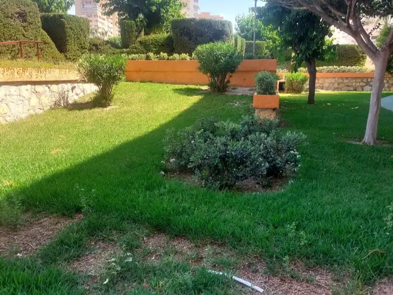 Apartamento con piscina en venta en Avenida Jaime I el Conquistador 30, imagen 7