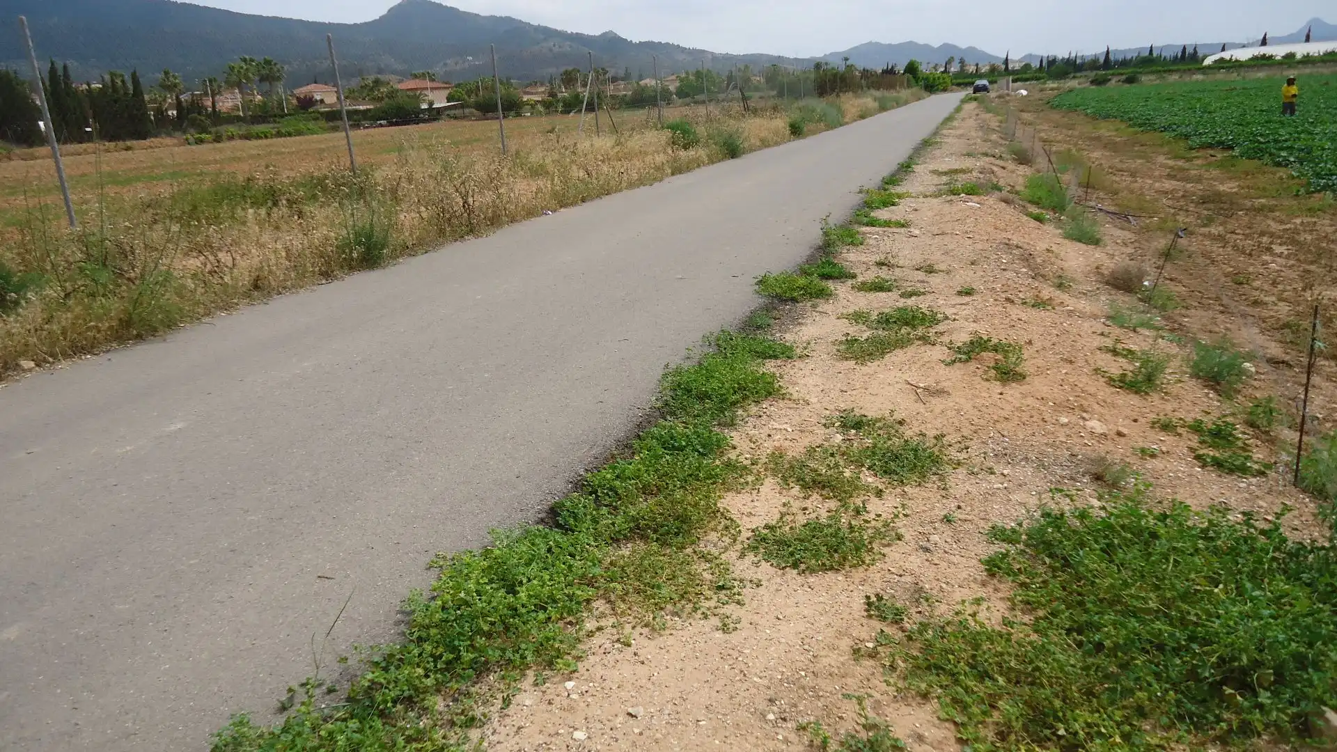 Terreno rustico in vendita a Hondón de las Nieves / El Fondó de les Neus, imagen 10