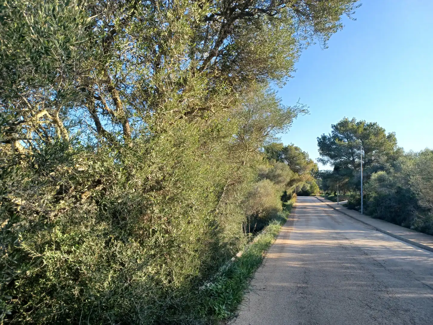 Vista exterior de Residencial en venta en Manacor