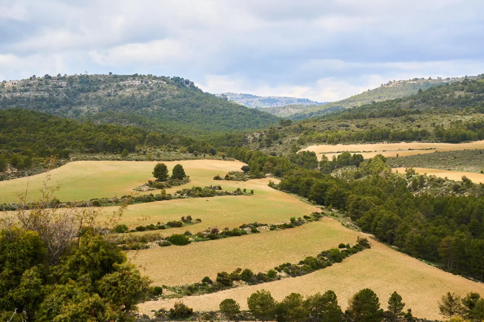 Finca rústica en venta en DISEMINADOS, 24, Puebla de Don Fadrique