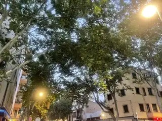 Appartamento in vendita a Llevant, imagen 11