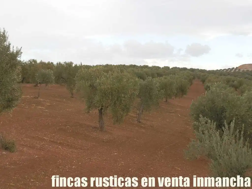 Terreni e lotti in vendita a Andújar, imagen 19