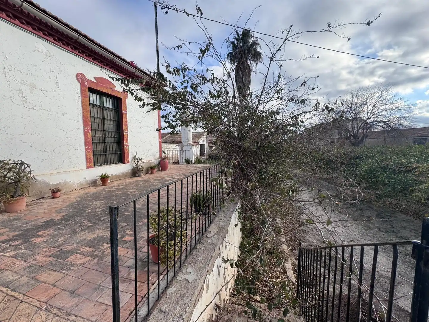 Exterior view of Houses for sale in Murcia  with Private garden