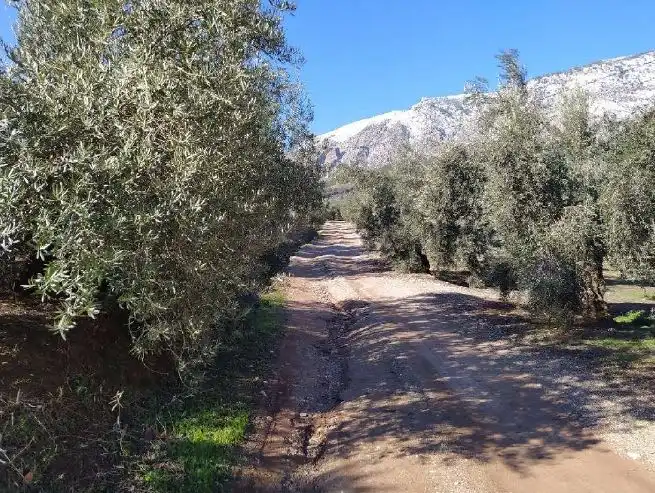 Terreni e lotti in vendita a Cortijo de El Fraile, imagen 8
