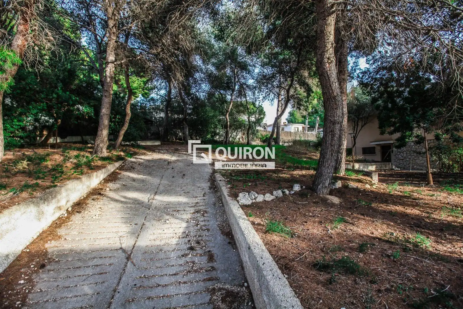 Terreno rustico in vendita a Segur de Calafell, imagen 14