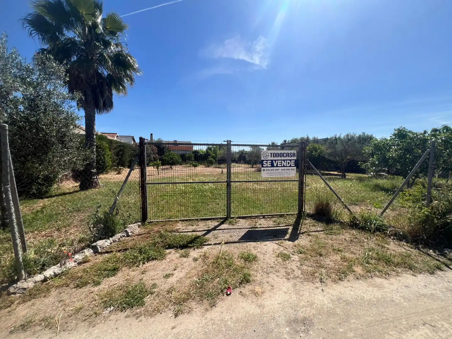 Land for sale in Los Palacios y Villafranca