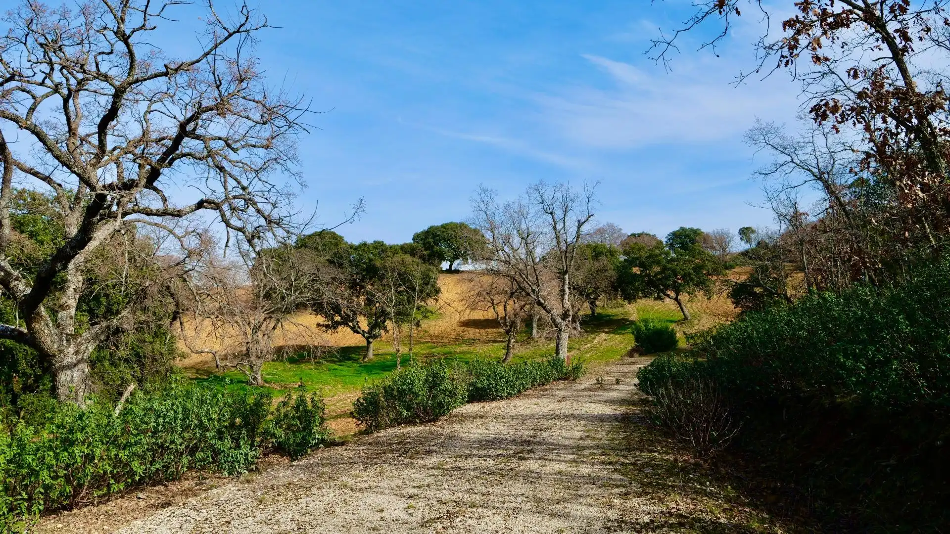 Land for sale in Arbancón