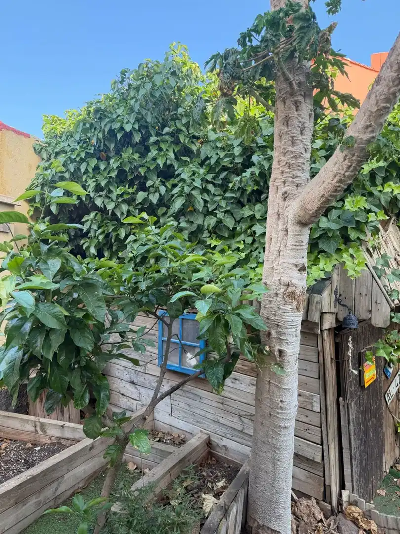 Balcony of Houses for sale in Almería  with Air Conditioner, Private garden and Terrace
