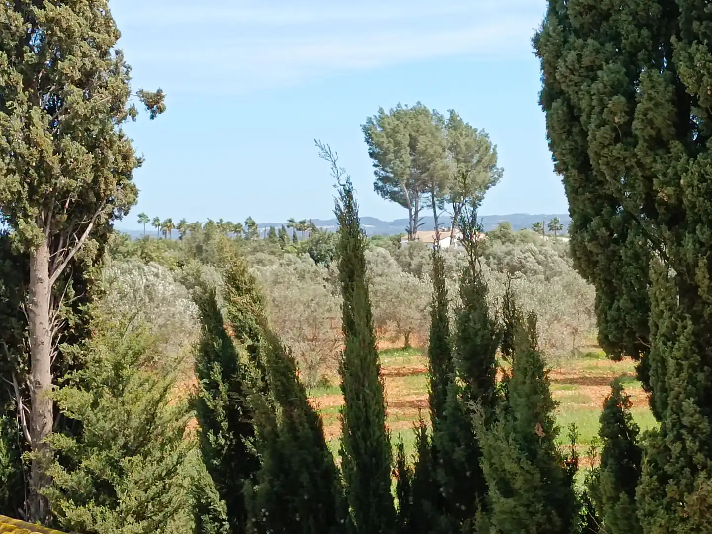 Villa con piscina in vendita a Binissalem, imagen 10