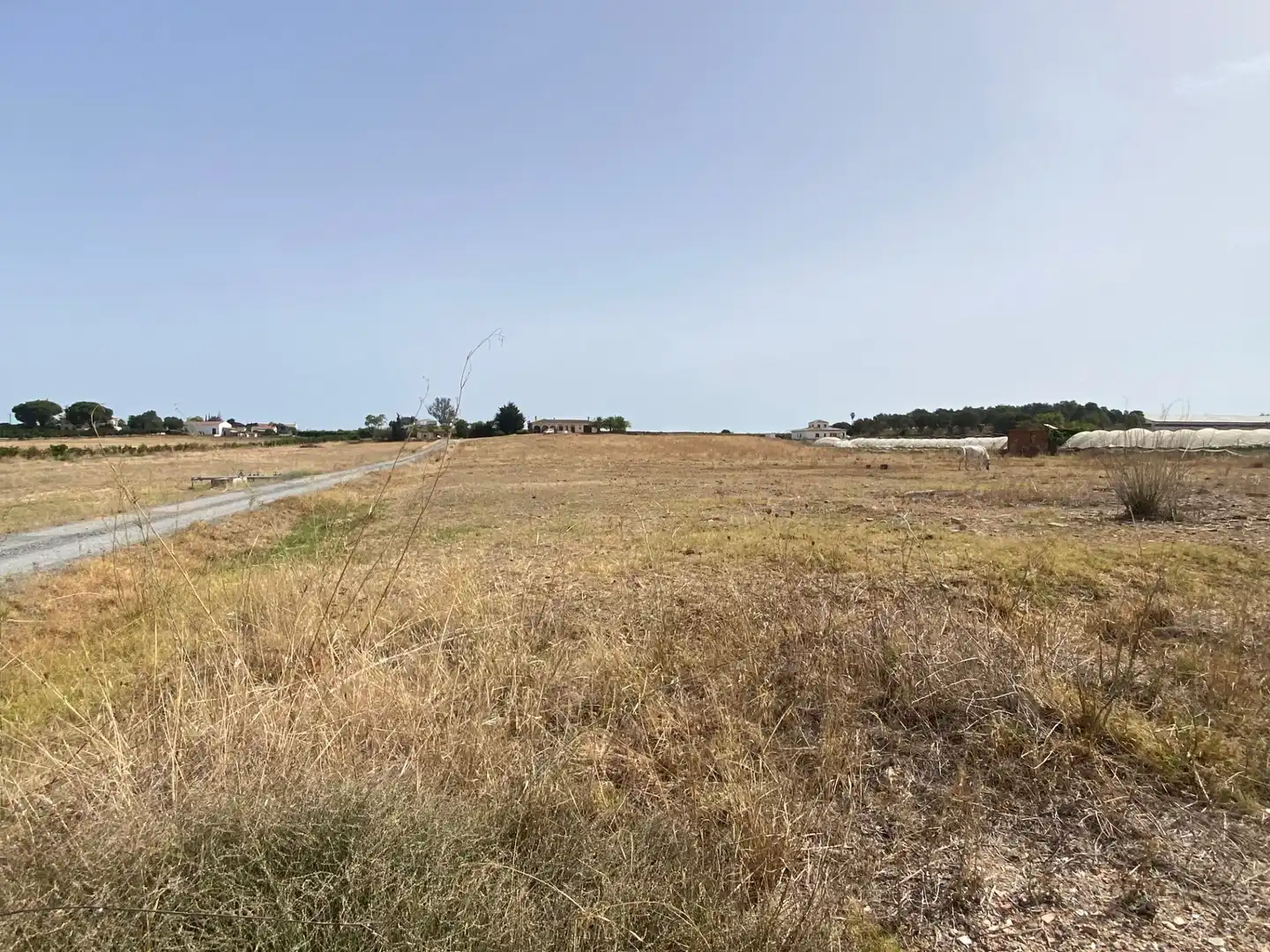 Finca rústica en venta en Aljaraque