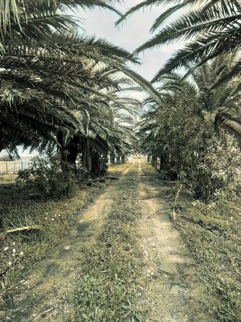 Maison rustique avec piscine à vendre à Tarifa ciudad, imagen 11