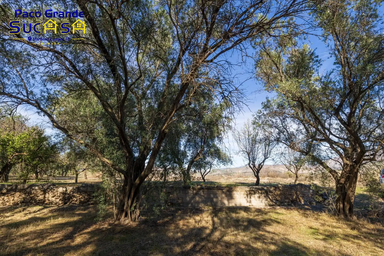 Terreno rustico in vendita a PINOS DEL VALLE, imagen 15