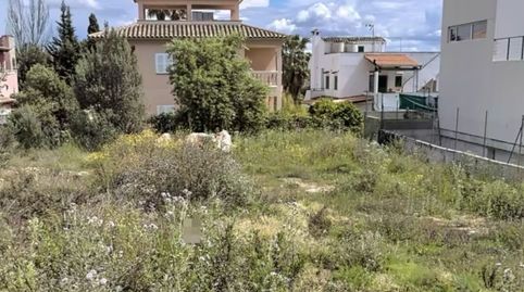Foto 5 de Terreno en venta en Carrer Vial 1, 999, Bunyola, Illes Balears